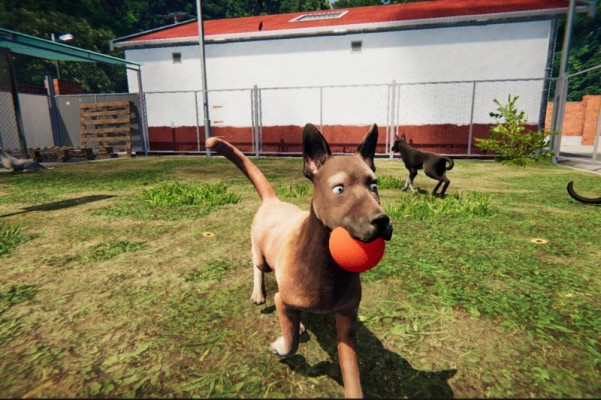 Games Similar to Animal Shelter